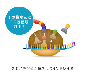 その数なんと10万種類以上！