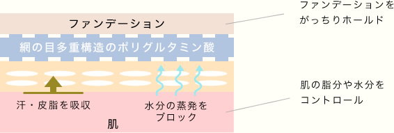 ファンデーションをがっちりホールド肌の脂分や水分をコントロール